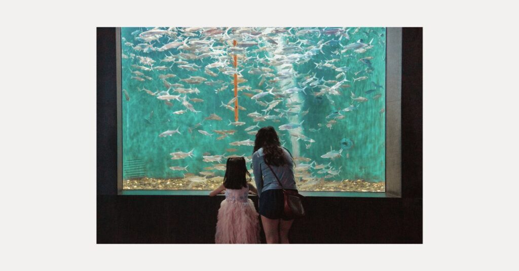 兄弟の絵が全然違うのはなぜ？性格や心理がわかる絵の特徴