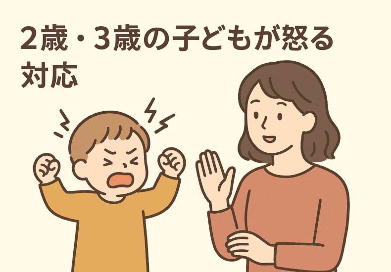2・3歳の子どもが怒る